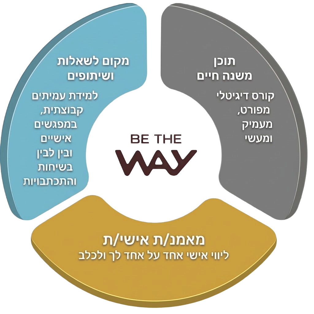 תיאור התהליך